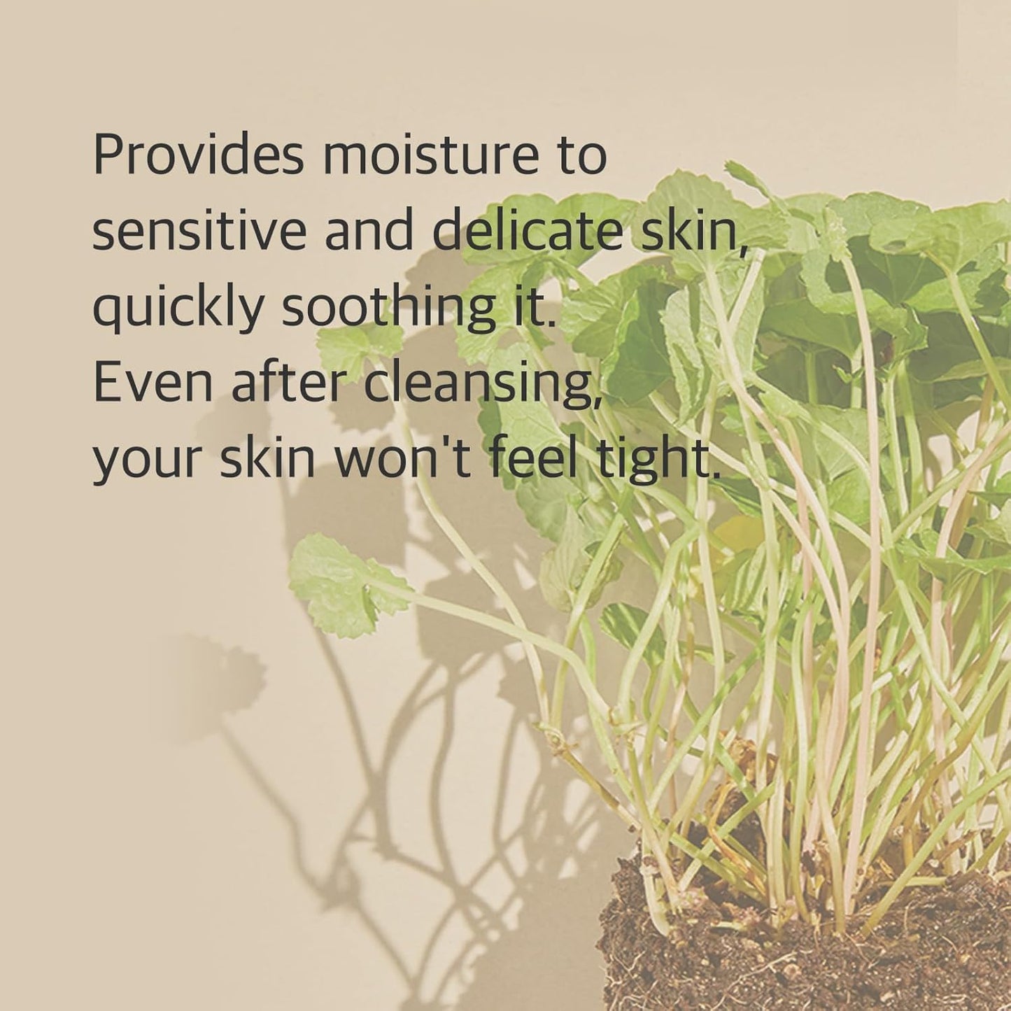 mixsoon Centella Soothing & Moisturizing Cleanser 150ml