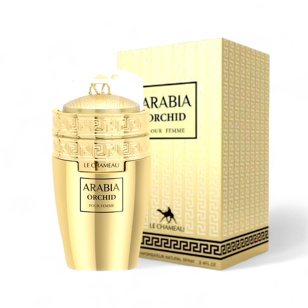Arabia Orchid By Le Chameau EDP Perfume for Women 3.4 oz/100 ml