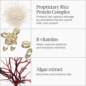 Briogeo Don't Despair, Repair! Tratamiento Fortalecedor de Proteína de Agua de Arroz + Humedad